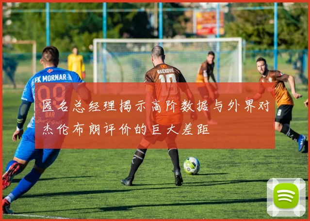 匿名总经理揭示高阶数据与外界对杰伦布朗评价的巨大差距