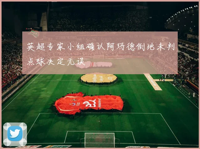 英超专家小组确认阿玛德倒地未判点球决定无误