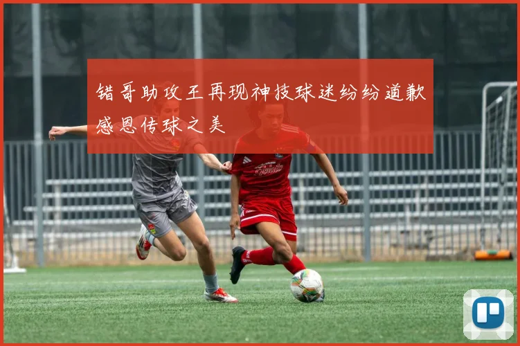 错哥助攻王再现神技球迷纷纷道歉感恩传球之美